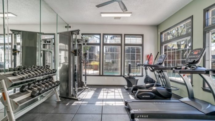 a gym room with treadmills, weights and mirrors at The Evaline