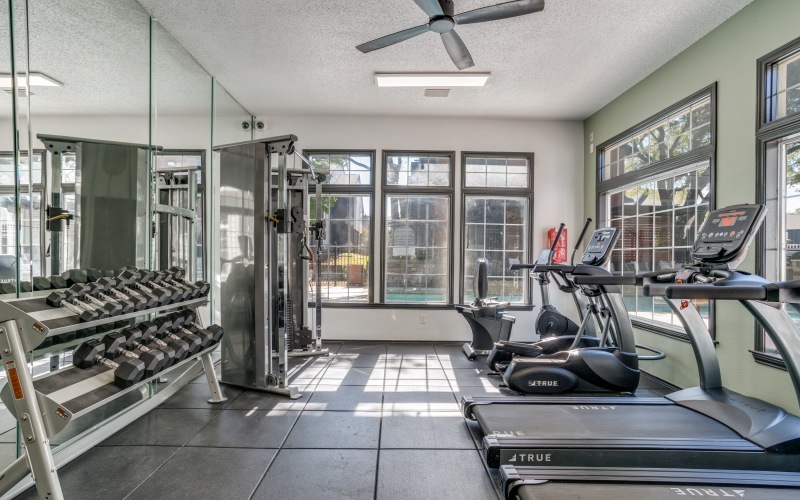 a gym room with treadmills, weights and mirrors at The Evaline
